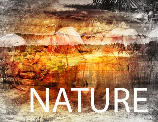 Nature V