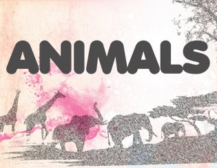 Animals V